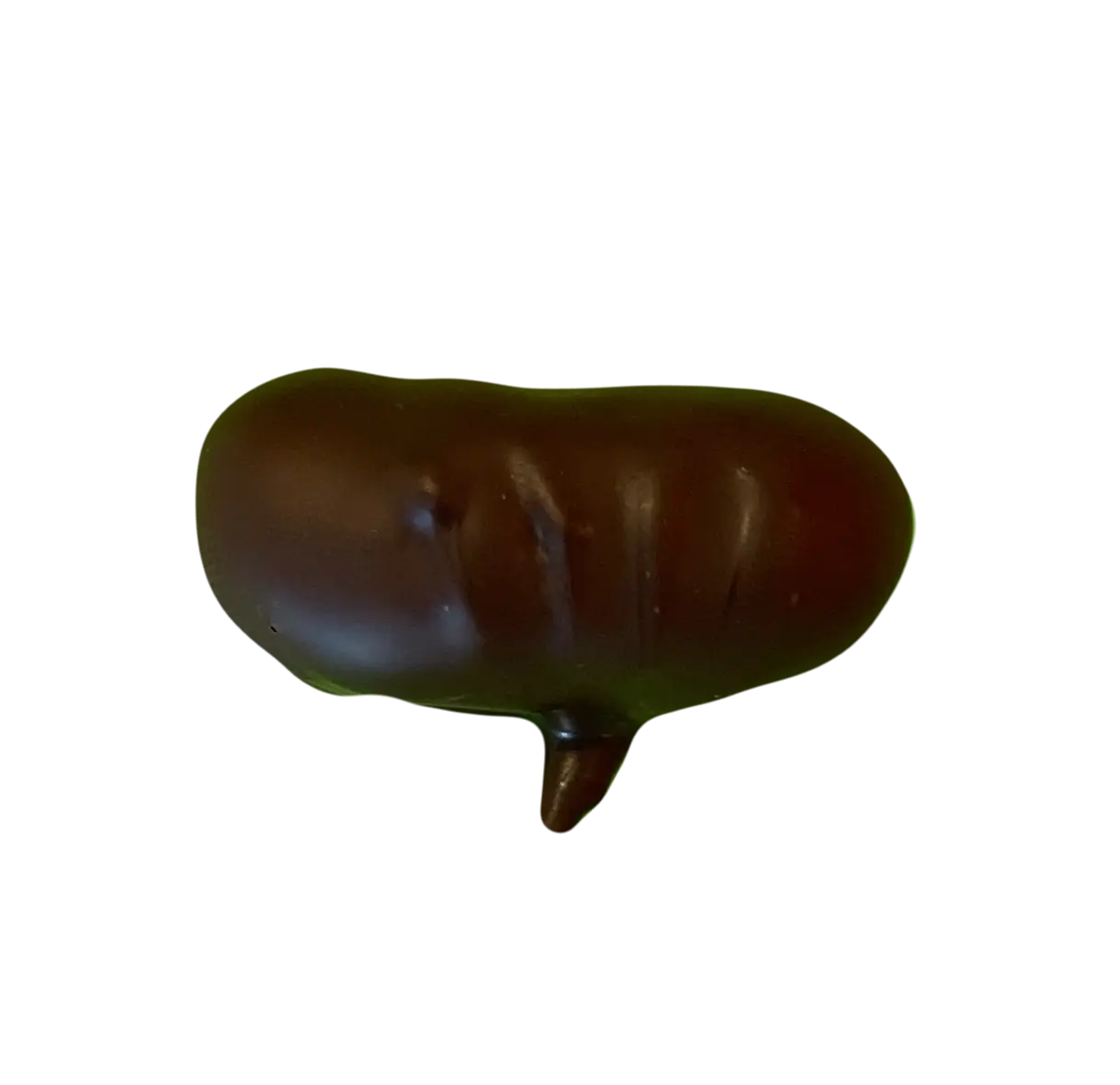 Chocolat blanc à la vanille