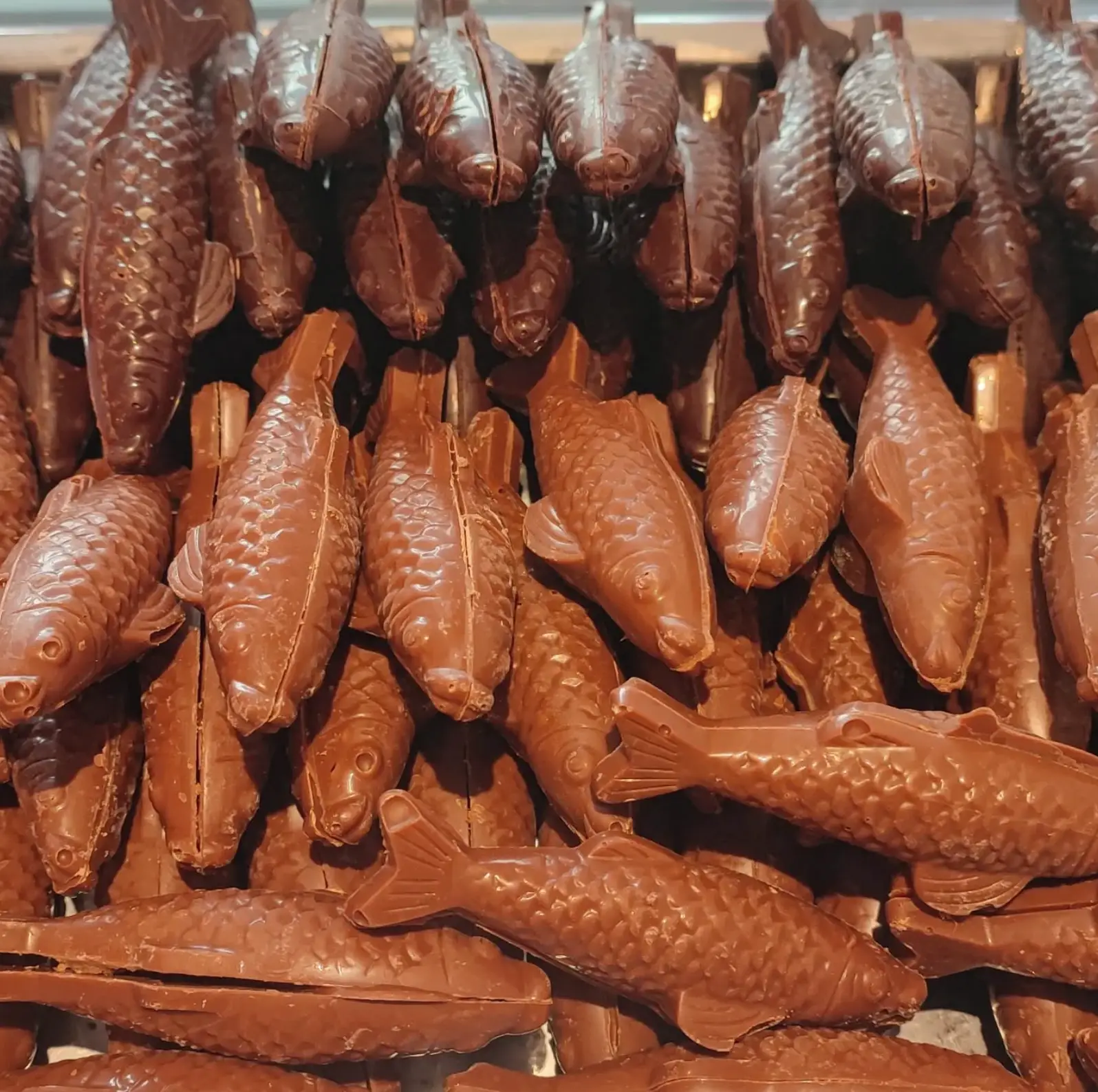 Poissons en chocolat